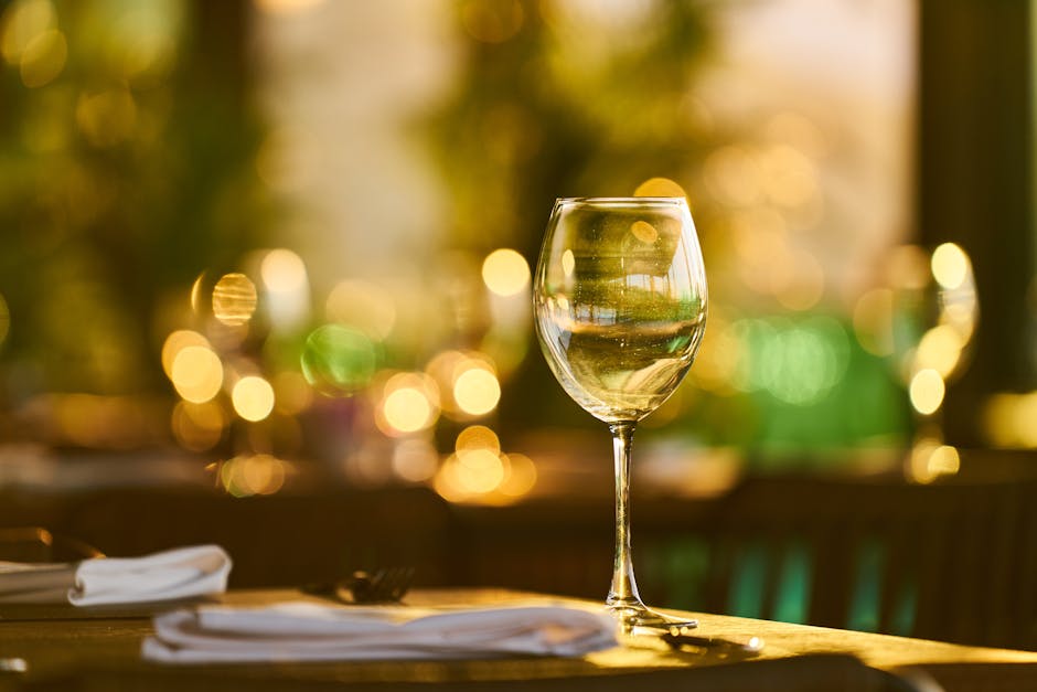 Schott Zwiesel Red Wine Glasses Reviewed: Top Picks